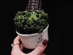 -鹤茶野所(上海首店)