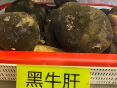 -菌海森林·非遗野生菌火锅(西山区滇池路摩根道店)