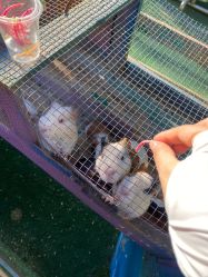 -萌宠亲子动物乐园(槐房万达店)