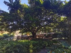 -晓港公园