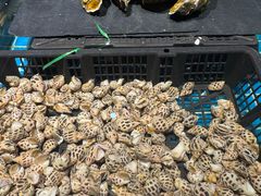 -九月海·海鲜自助(世纪东方店)
