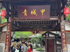 -青城甲(青城山店)