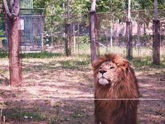-秦皇岛野生动物园