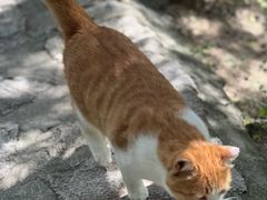 -北京凤凰岭