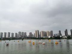 -洋湖国家湿地公园