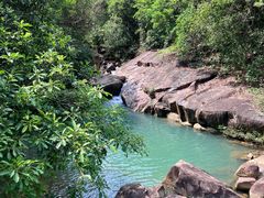 -广州白江湖森林公园