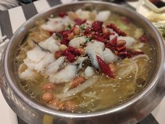非主流酸菜鱼-Aqua Oasis 水天堂(石路天虹店)