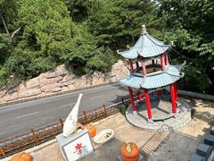 -大芦花风景区