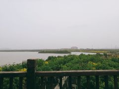 -天津东丽湖风景区