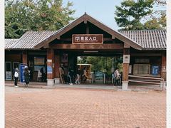 -大湾区中央湿地公园