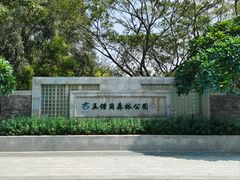 -王借岗森林公园