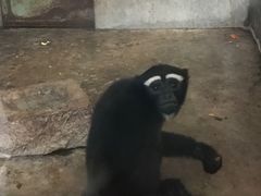 -昆明动物园