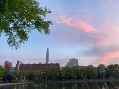 -泰丰公园