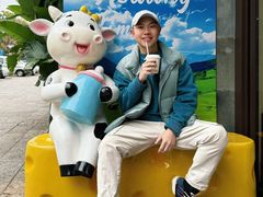 -乍甸乳业鲜奶吧(红河水乡店)