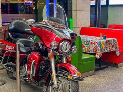 -Famous肥猫墨西哥音乐餐吧(五棵松华熙LIVE店)