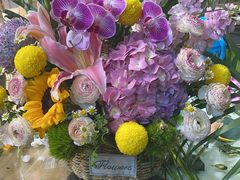 -双季花艺园艺市场(浦东店)