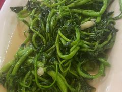 -麻奢鸽农庄·梦里水乡