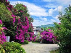 -野鸭湖国家湿地公园