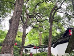 -杭州黄龙洞
