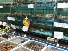 -海岛渔村大酒店(云霄路店)
