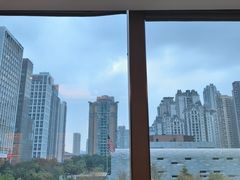 -利苑酒家(合景国际金融广场店)