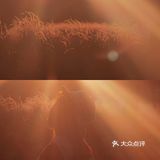 现在！秋天～乱粉黛子正粉时！