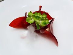 -觀芷隐轩