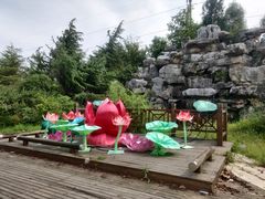 -上海海湾国家森林公园