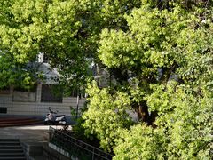 -福建师范大学(仓山校区)