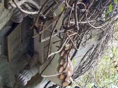 -同庆堂(解放北路店)