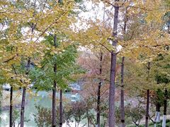 -大兴滨河森林公园