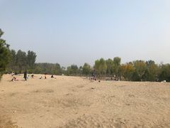 -东郊湿地公园