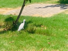 -前小桔亲子创意农场·草莓采摘·露营烧烤