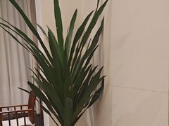 -梅花香里大酒店(郁金香路店)