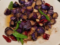 -佬肥猫(七宝宝龙店)