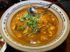 千岛湖有机胖头鱼-魏铭鱼头捞饭(晋阳路店)