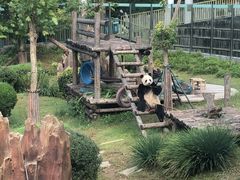 -大连森林动物园