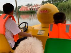 -上海长兴岛郊野公园