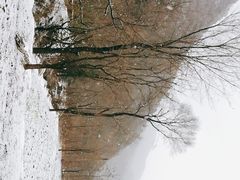 -抱龙峪