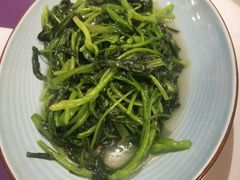 清炒鸡毛菜-紫悦咖餐厅(清控店)