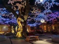 -蓝鲸湾汤泉(包河店)