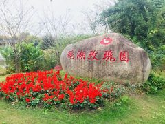 -鹅湖玫瑰文化园