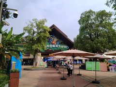 -苏州乐园森林水世界