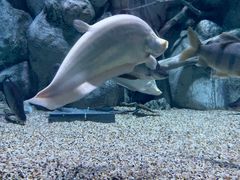 -正佳极地海洋世界