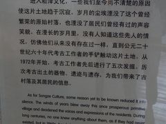 -圩墩遗址公园