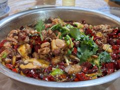 -食神又名厕所兔