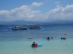 -东姑阿都拉曼海洋公园