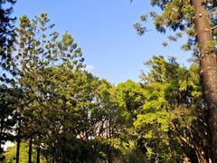 -人民公园(罗湖区)