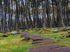 -硗碛藏寨·神木垒景区