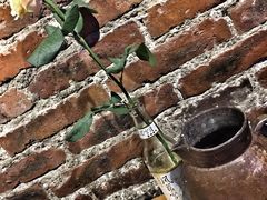 -在路上酒吧(大理古城店)